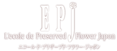 EPJ ディプロマコース